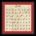 Ajaz sadiqi 01 * 22.03.2008 * 391 x 633 * (36KB)